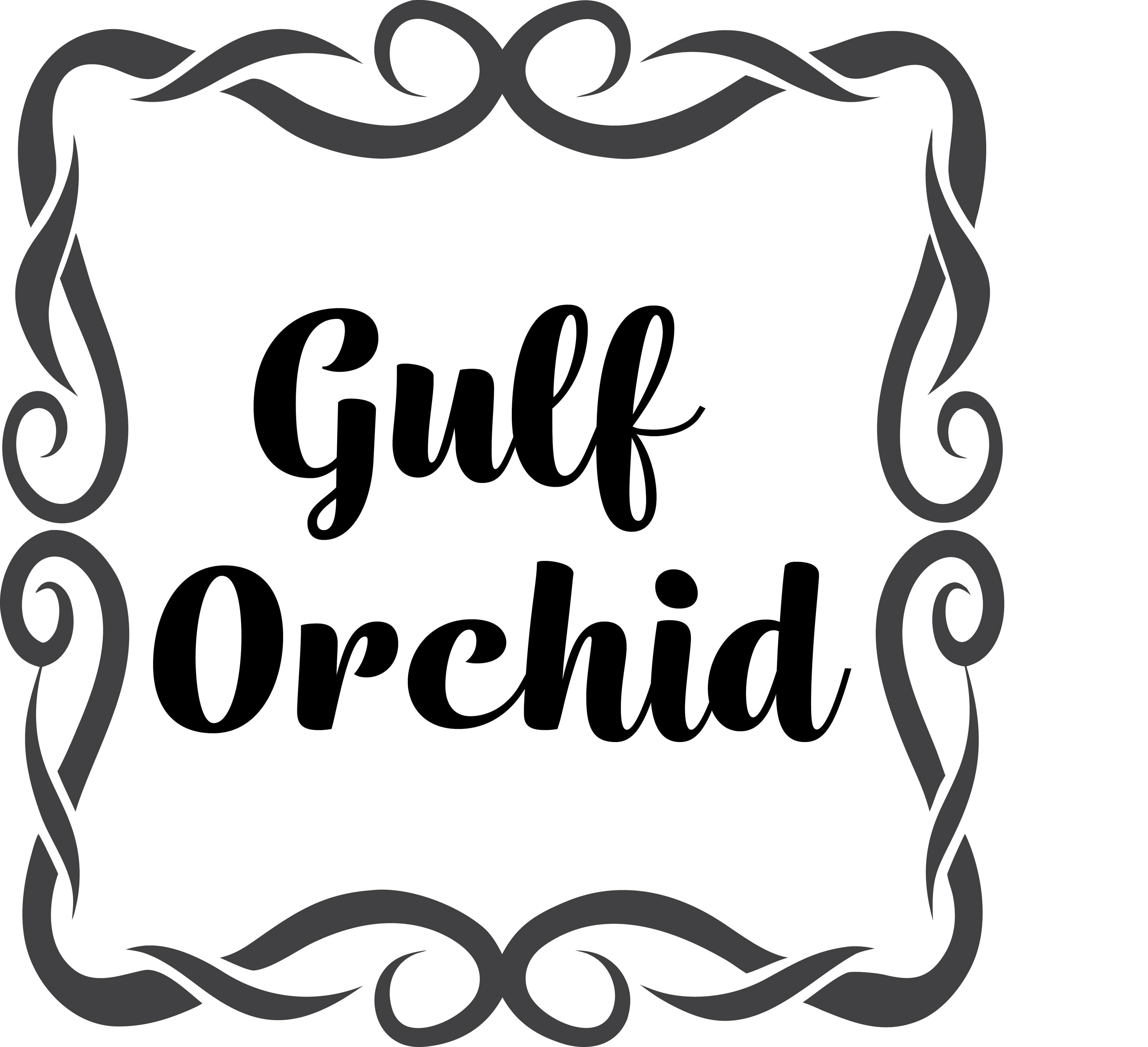 Gulf Orchid
