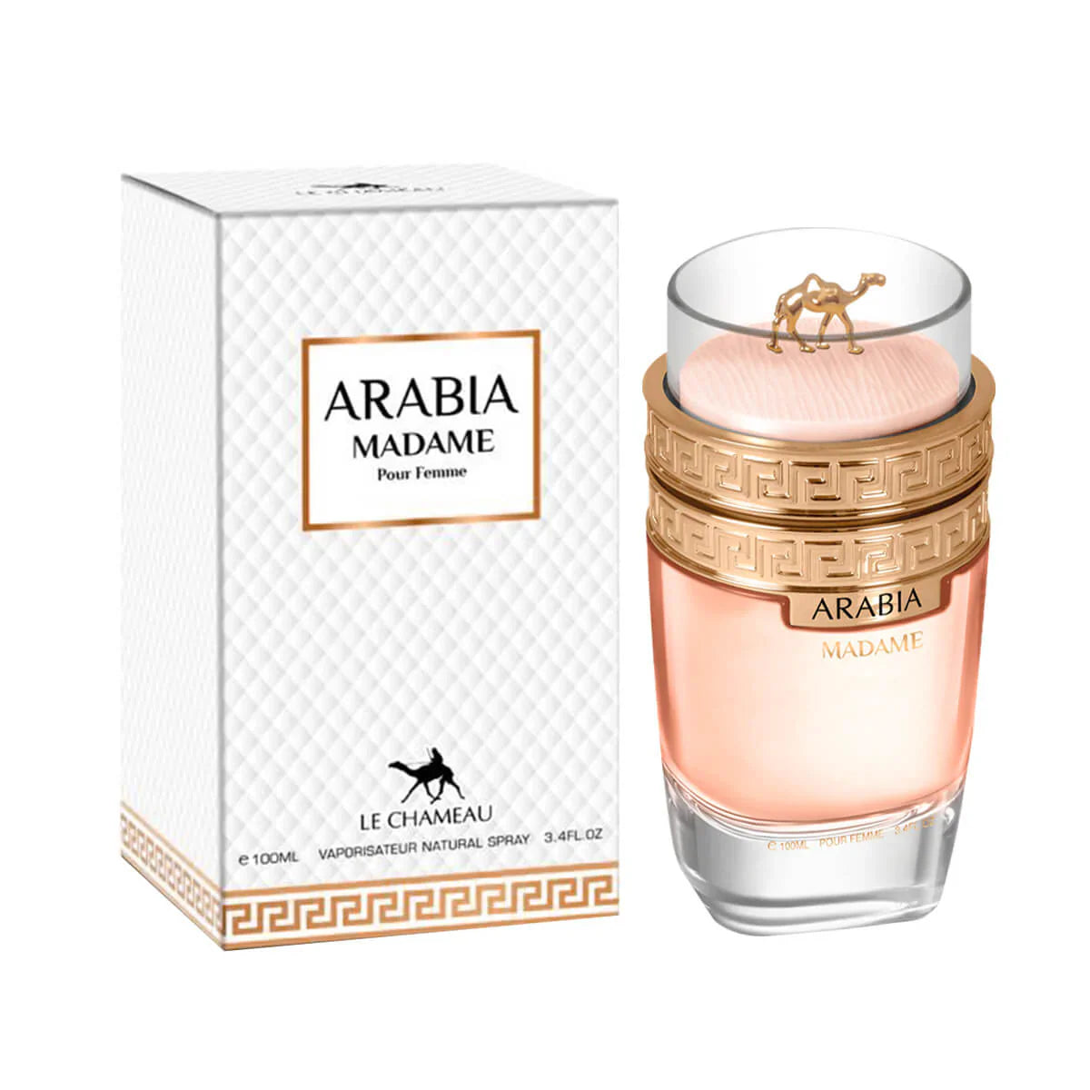 Le Chameau Arabia Madame