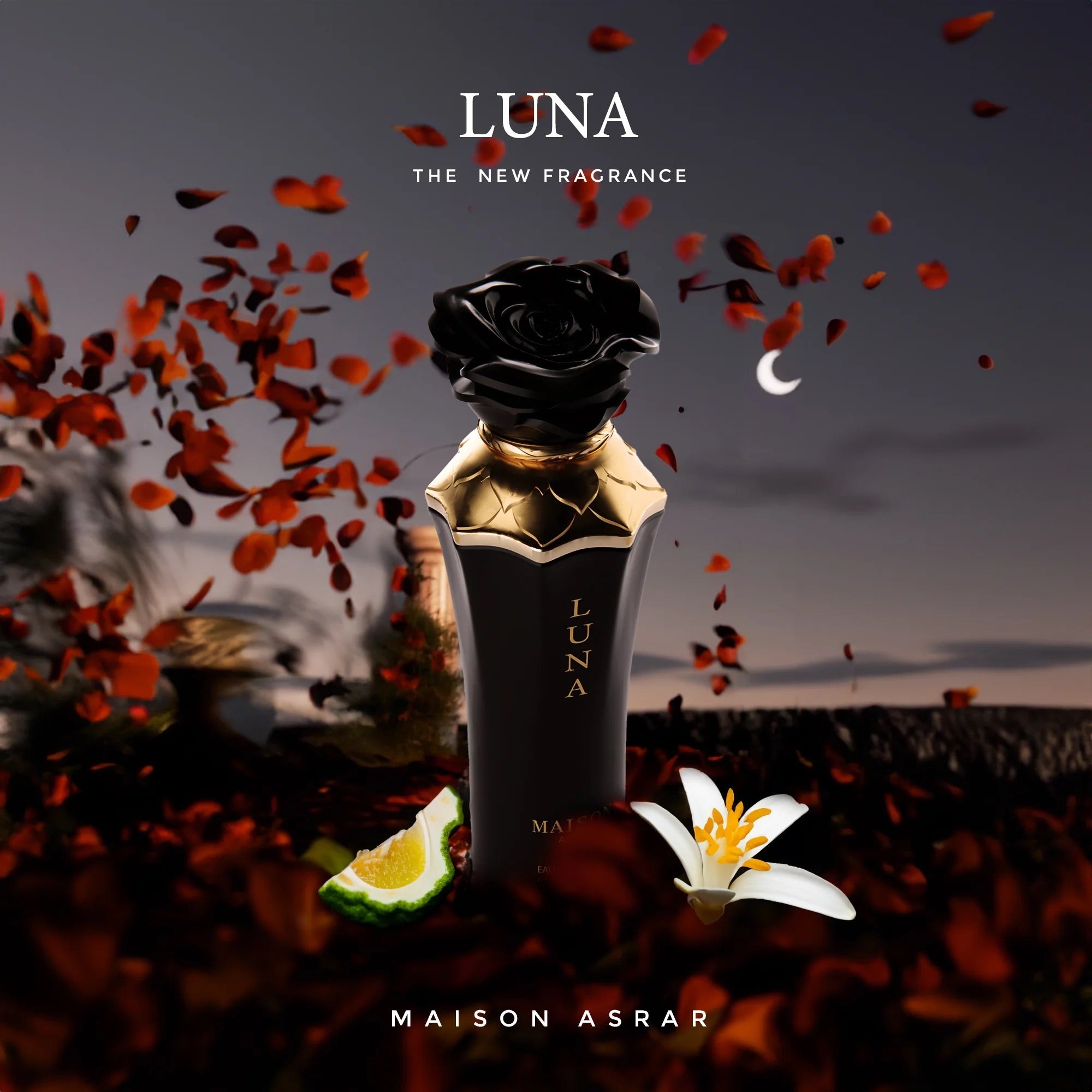 Maison Asrar Luna